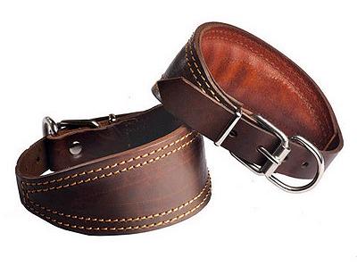 Kinologprofi Ошейник Борзая CL-034