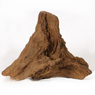 Aquael Коряга Mangtove Root (M) 25-45