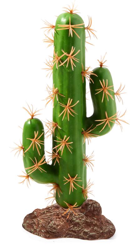 Laguna Растение Цереус