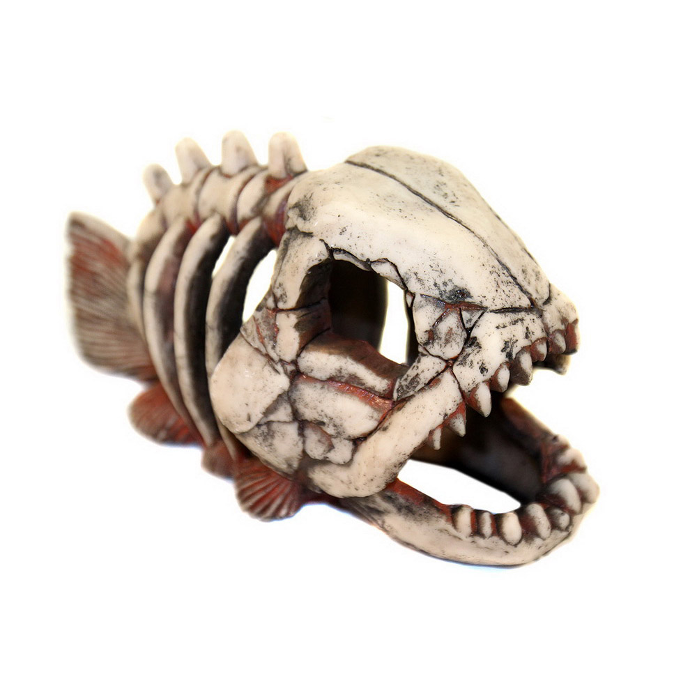 Deksi Грот Скелет рыбы №901