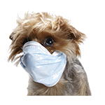 Противовирусные