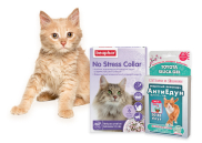 Коррекция поведения