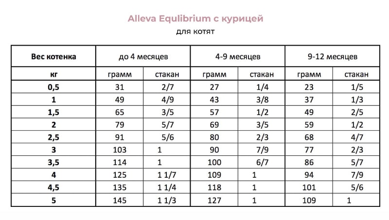 Нормы кормления кормом для котят