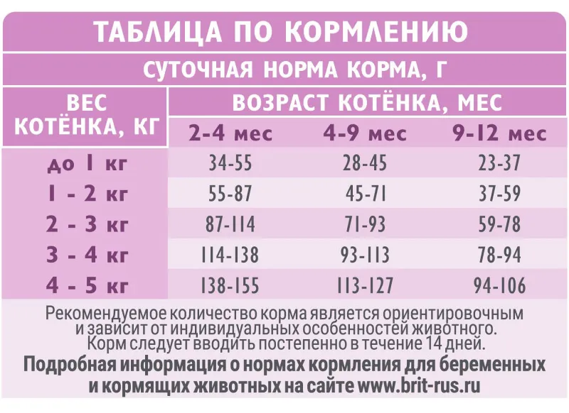Корма для котят