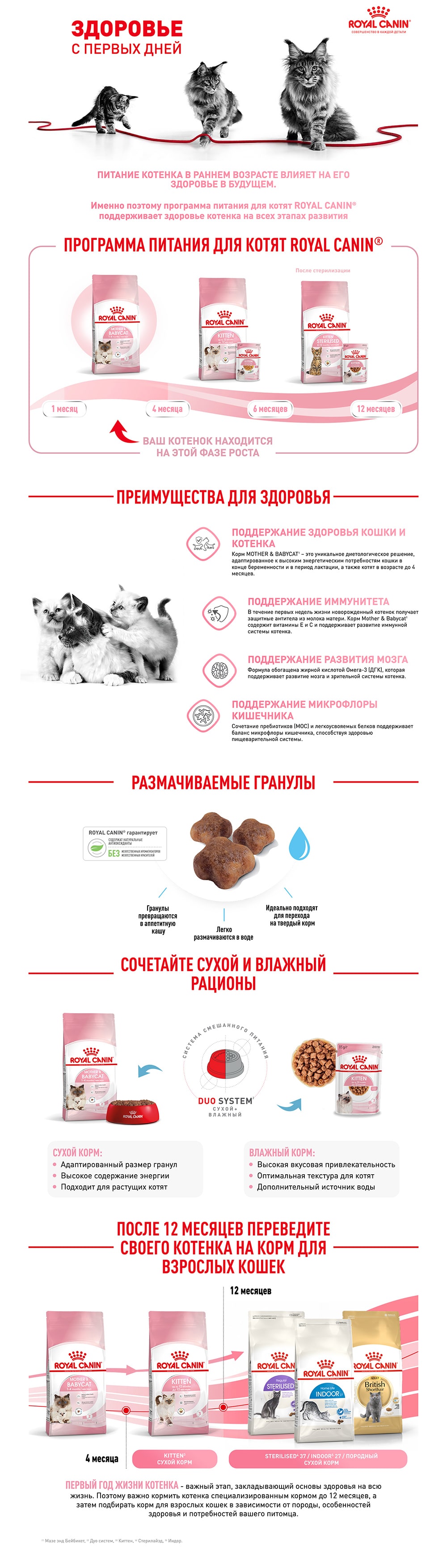 Корм для котят