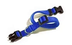 CAMON Ошейник с пластиковой пряжкой, синий