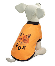 Triol Толстовка Лисица