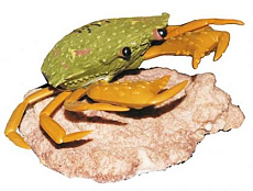 Распылитель "Краб"