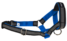 Недоуздок AmiPlay Shine N2 Foxterrier (Синий)