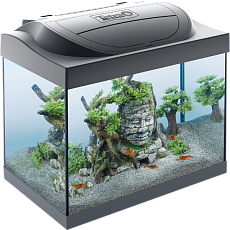 Tetra Аквариум "Starter Line LED Crayfish", 30 л