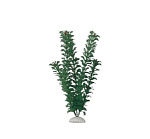 Boyu АР-025 Кабомба зелёная