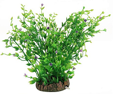 Laguna Растение 30001AP с распыл-ем "Гигрофила цветущая", 30 см