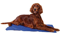 JollyPaw Подстилка охлаждающая (синий)