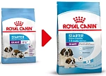 Royal Canin Giant Starter