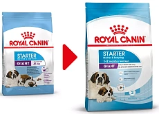 Royal Canin Giant Starter