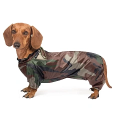 Gamma Комбинезон демисезонный Такса