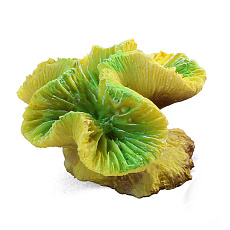 Laguna Коралл искусственный 2902LD "Каталофиллия"