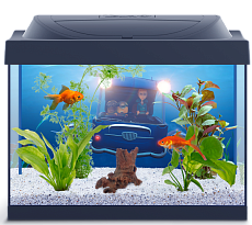 Tetra Аквариум "DMF Goldfish", 30 л