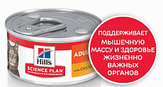 Hill's Science Plan Влажный корм для кошек для поддержания жизненной энергии и иммунитета (курица)