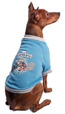 Triol Толстовка Marvel "Ракета"