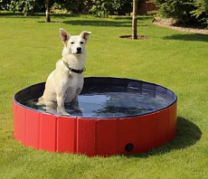 CAMON Бассейн для собак