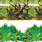 Laguna Фон Таинственный лес/Новое утро