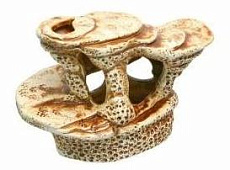 Deksi Черепаший пляж малый