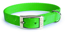 CAMON Ошейник нейлоновый с металлической пряжкой, зеленый