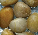 АкваГрунт Галька шлифованная желтая