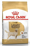 Royal Canin Labrador Retriever Adult
