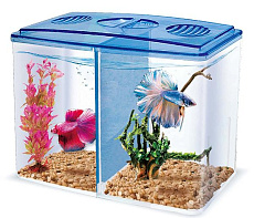 Haqos Бетта-бокс