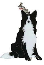 ДиАнКари Подвеска породы Бордер Колли