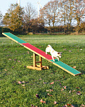 Trixie Agility Seesaw