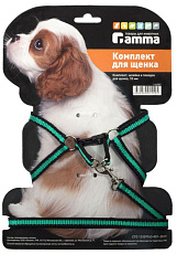 Шлейка и поводок "Гамма", 28-34х8,5 см / 1х130 см