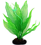 Marlin Aquarium Апоногетон мадагаскарский