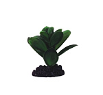 Boyu АР-061 Людвигия крупнолистовая зелёная