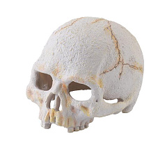 Exo Terra Убежище-декор Череп примата