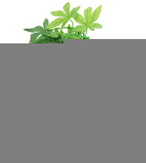 Repti-Zoo Растение "Абутилон" 003TP, 400 мм