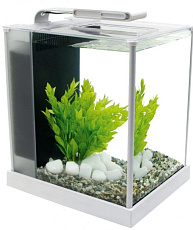 Fluval Аквариум "SPEC III", 10 л