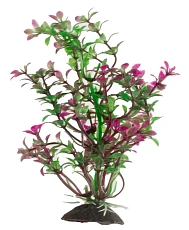 Naribo Растение пластиковое Людвигия