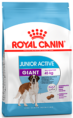Royal Canin Giant Junior Active