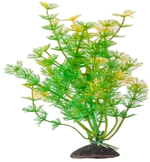 Naribo Растение пластиковое Амбулия