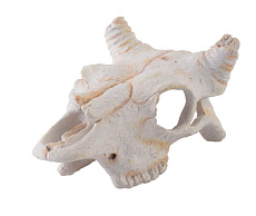 Exo Terra Убежище-декор Череп буйвола