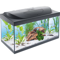 Tetra Аквариум "Starter Line Tank LED", 54 л