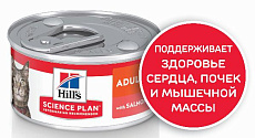Hill's Science Plan Влажный корм для кошек для поддержания жизненной энергии и иммунитета (лосось)