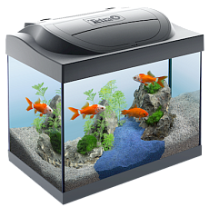 Tetra Аквариум "Starter Line LED Goldfish", 30 л