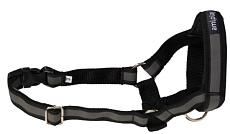 Недоуздок AmiPlay Shine N2 Foxterrier (Черный)