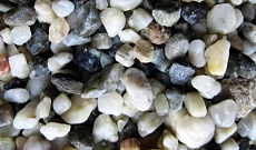 Zoologia Гравий натуральный №6 8-12 мм