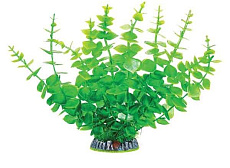 Laguna Растение 30005AP с распылителем "Бакопа", 9х9х32 см