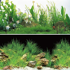 Laguna Фон 9030/9038 "Ночная прогулка/Новое утро"